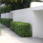 Podcast. #PANyCirco. La Fraudulenta investigación de La Casa Blanca. 24 ago 2015