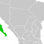 Sin sustento legal ni apoyo social consulta en Baja California