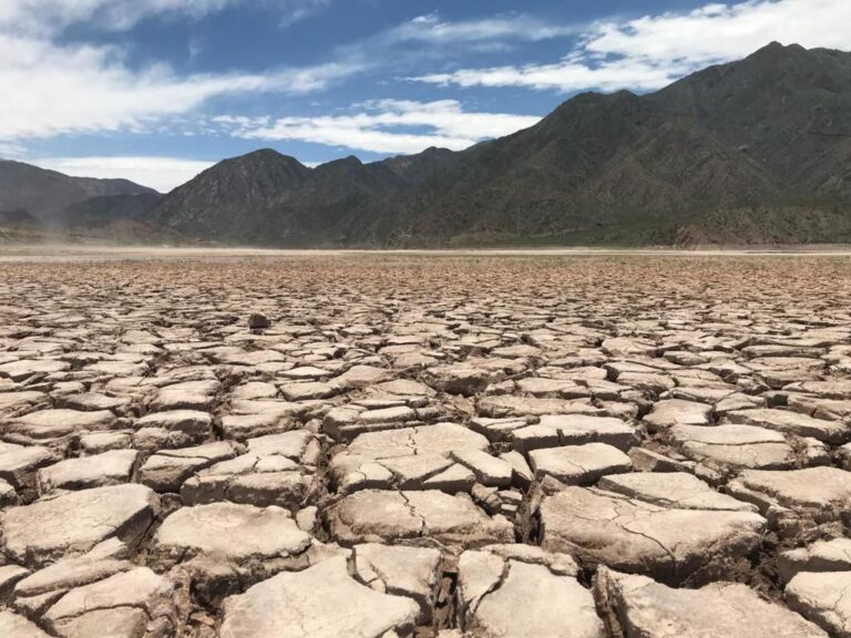 México y la juventud frente a la crisis de clima