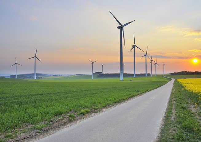 Reforma eléctrica pone en riesgo más de 22 mil mdd inversiones en energías renovables