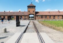Auschwitz: la importancia de no olvidar