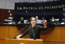 Medidas para proteger a Lourdes Maldonado fueron insuficientes Lily Téllez