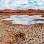 Jugar a la política