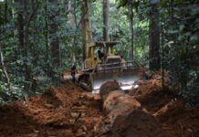 El desastre financiero y ambiental del Tramo 5 del Tren Maya Tren Maya tramo 5