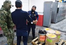 Seguridad en AICM y aduanas, nueva encomienda para la Marina Vigilancia aeropuertos