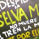 Tren Maya: símbolo de improvisación y corrupción