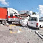 Los cuervos mal criados