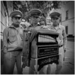 Lo que hemos perdido en el camino…