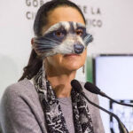 ‘Mapache’ científica