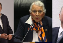 Caso Gertz-Scherer-Olga: no corrupción, sino sucesión 2024