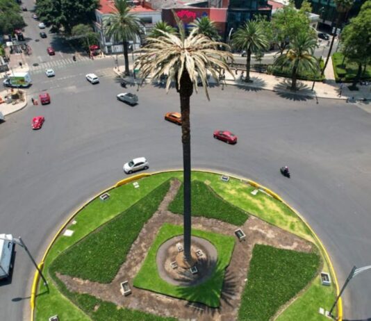 Exhibe retiro de «La Palma» el desastroso manejo ambiental de la CDMX