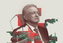 Ahora más que nunca en México urge la solidaridad ciudadana