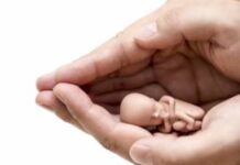 El aborto, violencia y Crueldad I