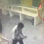 Dos tipos de cuidado