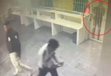 Dos tipos de cuidado