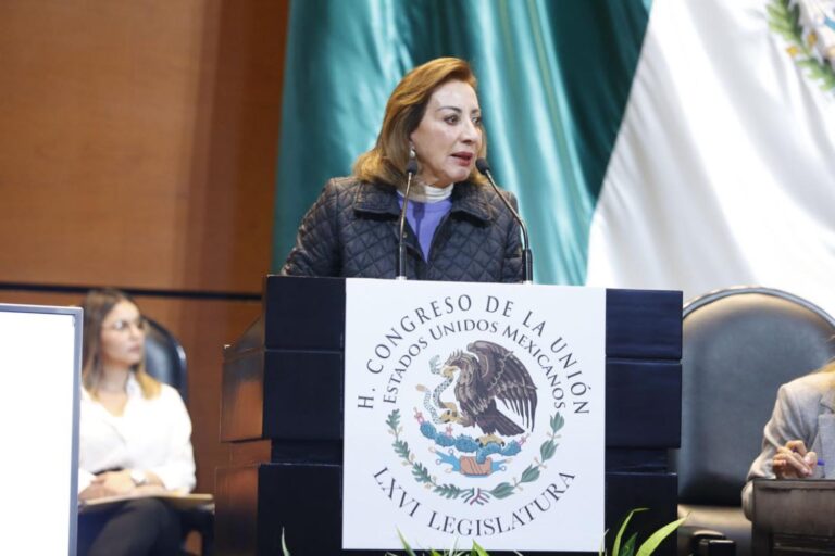 Detener proceso de elección de personas juzgadoras, pide GPPAN en el Senado