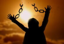 Libertad, juridicidad, fraternidad