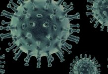 Hay preocupación por otra posible pandemia, pero no hay evidencias de esto