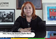 México y Argentina unen esfuerzos a través de su Mecanismo y Comité nacionales para prevenir y erradicar actos de tortura y tratos crueles