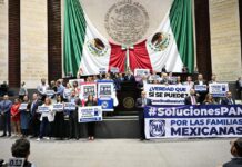 Acción Nacional propone bajar el precio de la gasolina para beneficiar a las familias mexicanas