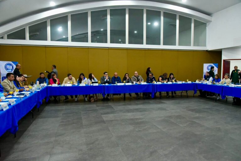 «Ofrezcamos más soluciones y resultados»: insta Luisa Gutiérrez a concejales panistas