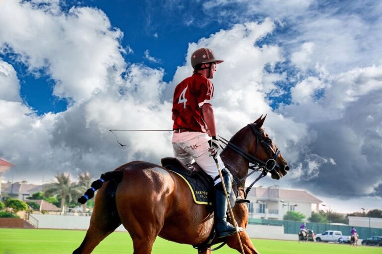 Sabías que el Polo es el deporte más caro para prácticas, seguido de la Fórmula 1, el golf y la vela