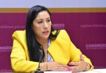 Urge la diputada panista Rocío Dávila transitar a una agricultura sostenible en Edomex