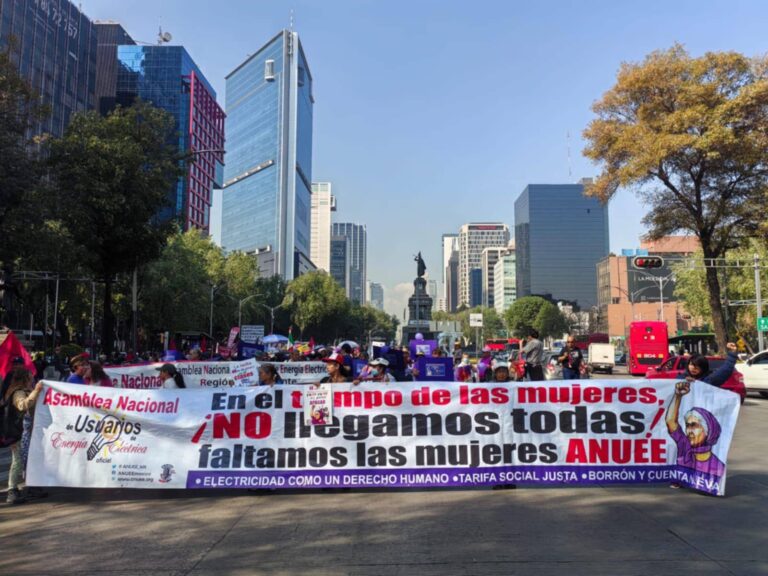 Denuncian mujeres de la ANUEE exclusión por parte CSP e indiferencia ante demandas de usuarios de energía eléctrica