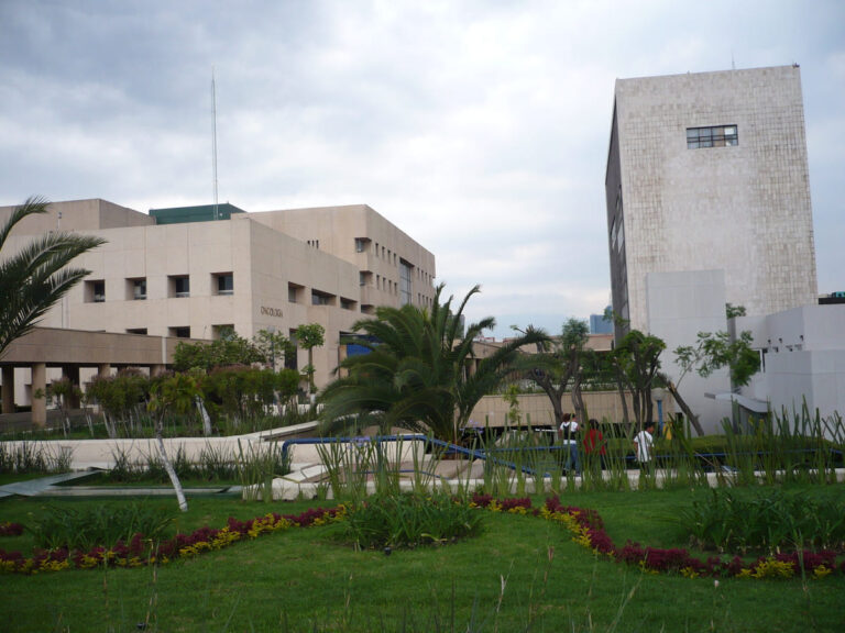 Por inadecuada atención médica, CNDH emite dos recomendaciones al IMSS