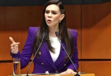 En el marco conmemorativo del Día Internacional de la Mujer, PAN en el Senado presenta 10 iniciativas para beneficio de las mujeres