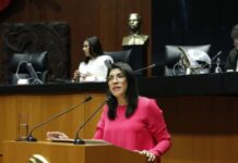 El PAN respalda simplificación administrativa y digitalización, pero exige mecanismos de rendición de cuentas y transparencia
