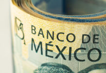 Banco de México reporta utilidad récord en 2024