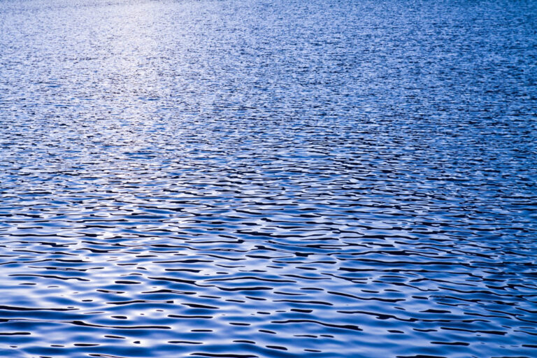 De nuevo Trump reclama a México, ahora es por el agua