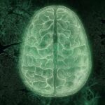 Explora los secretos de la mente en el ciclo de documentales El cerebro, por TV UNAM
