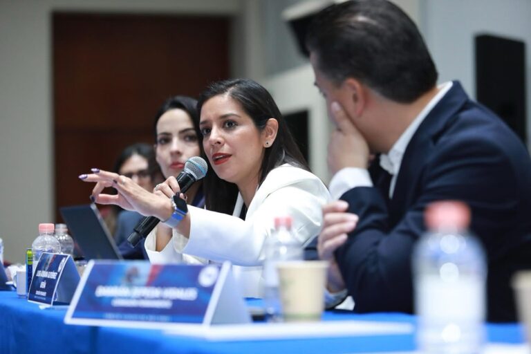 El GCDMX debe poner en marcha acciones para potencializar la economía local y generar empleos: PAN de la CDMX