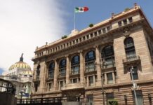 Reservas al alza: Banxico fortalece el blindaje