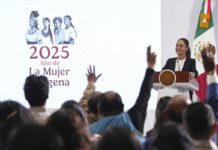 Morena vs. Morena: morenistas acusan a morenistas de estar vinculados con el crimen organizado