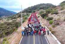 Denuncia MULT 37 ejecuciones de sus integrantes desde que se anunció Pacto de no Agresión en el 2022
