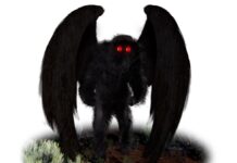 Sabías que el mito del hombre polilla (mothman) rebasa fronteras
