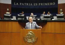 México pierde millones por plaga en el ganado; Vázquez exige cerrar la frontera sur