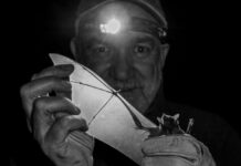 Del Efecto Murciélago a la Geometría de dimensiones desconocidas este 11 de mayo en El Aleph 202