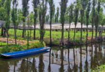Las chinampas, el nuevo capítulo de la serie Arqueología Mexicana, por TV UNAM