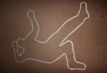 México bajo fuego: así arde el país en homicidios