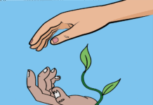 México Frente a la Ola de Feminicidios