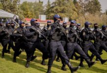 Por violaciones graves de expolicías federales, CNDH emite Recomendación a SSPC