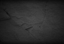 Con estos compañeros, ¿quién necesita oposición?