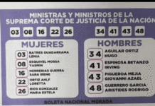 La elección del acordeón