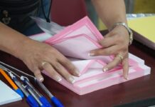 Elección Judicial: La OEA Enciende Alarmas