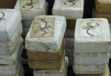 Narcotráfico se dispara con Sheinbaum