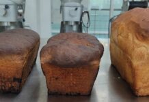 Investigadora del Tec de Monterrey propone pan con insectos de alto valor nutricional para combatir crisis alimentaria